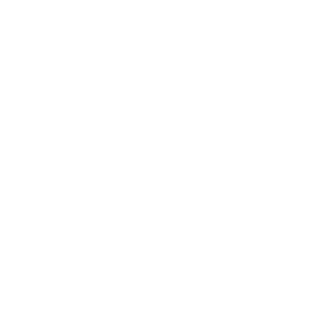 BetWarrior 500x500_white